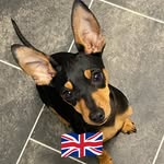 Stacey Lightfoot - @miguel_min_pin - Instagram