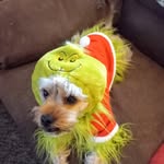 Stacey Marie Lightfoot - @frosty197191 - Instagram