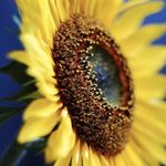 Staci Mitchell - @villagepeeple - Instagram