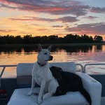 Stacy Olson - @sandlakestacy - Instagram