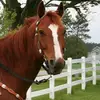 user9268047081433 - @staciorr - TikTok