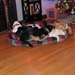 Staci Riley Lee - @irishpunk103116 - Instagram