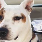 Stacey Satterfield Coker - @stacoker - Instagram