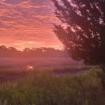 Stacy Satterfield - @yankeegal9 - Instagram