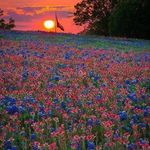 Staci Beth Sims-Longenbaugh - @beth_staci - Instagram