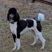 Stacie Sims - Facebook