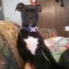 Staci Wagner - @deann2344 - TikTok