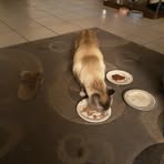 Staci Watts - Facebook