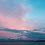 Staci Wheeler - @staciwheeler4 - Instagram