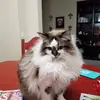 Staci Baker Landreth - @staci.baker.landr - TikTok