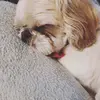 Stacey Nelson - @life_according_to_logie - TikTok