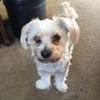 stacia__wallace - @stacia__wallace - TikTok