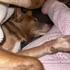 Stacy Ayers762 - @stacyayers3 - TikTok