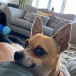 Stacey Baxter - @baxyboiler - Instagram