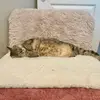 Stacie Bingham - @user3626125235390 - TikTok