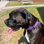 Stacy Charles - @stacy.charles.31 - Instagram