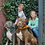 Eric N Stacie Dunn - @dunn_rite_bullies - Instagram