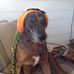 Stacy Earls - Facebook