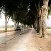 StacieFox - @udachglozgo - TikTok