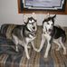Stacy Schlepp Heide - Facebook