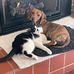 Stacie Hendrix - Facebook