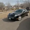 Stacy Larson - @stacy.larson8 - TikTok