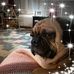 Stacie Light - Facebook