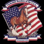 Stacie Lynch - @cbusa1879 - Instagram