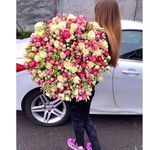 Stacy Mayer - @sttacy.mayer - Instagram