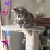 Stacie Schmidt - Facebook