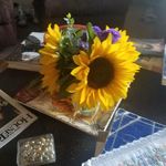 Stacie Weber - @stacieweber8450 - Instagram