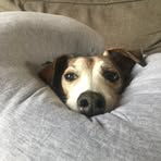 Stacie West - Facebook