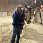 Stacey Adelman - @sweet_caroline_therapy_horse - Instagram