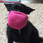 Stacy Allen Eakins - @stacyleakins - Instagram