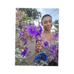 Stacy Anthony - @tacy2815 - Instagram