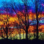 Just A Follower - @stacyarriola - Instagram