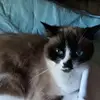 Stacy Ash - @stacy.ash1 - TikTok