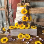 Stacy Atkins - @sweettreats5807 - Instagram