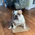 Stacey Ayres - Facebook