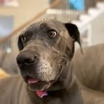 Stacy Babb - @babb.stacy - Instagram