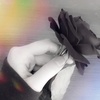 Stacy Bacon - @stacybacon1356 - TikTok