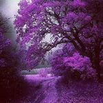stacey baggett - @my_destiny_is_yet_to_come - Instagram