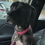 Stacy Baldwin - @bettyboop7221 - Instagram