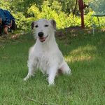 Stacy Baldwin - @stacybaldwin64 - Instagram