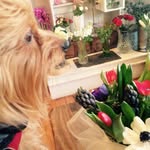 Stacybarbour - @stacy79xx - Instagram
