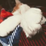 Stacy Barron - @lilnuggetpa - Instagram