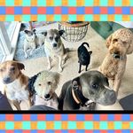 Stacy Strickland Barton - @stacybarton - Instagram