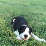 Stacy Batts - @satcyjo - Instagram