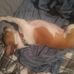 Stacy Baumann - Facebook