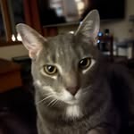 Stacy Beachy - @sdbeachy - Instagram